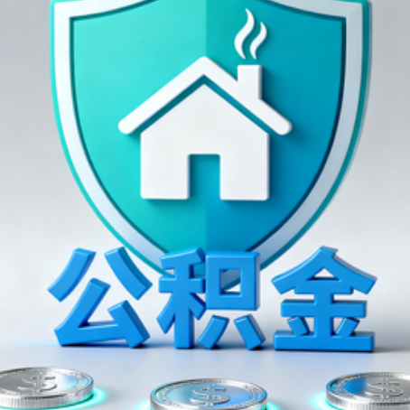 自贡公积金代办行业观察：谁在提供专业服务？